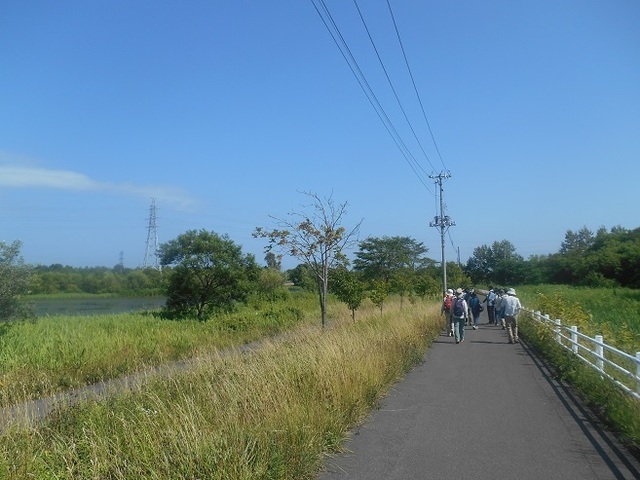DSC_6300.JPG
