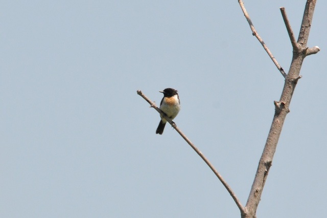 DSC_6352.JPG
