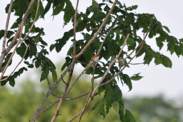 DSC_6357.JPG