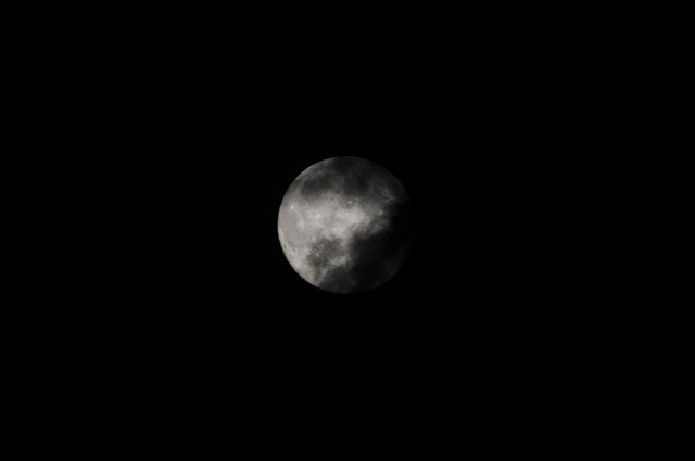 DSC_6413.JPG