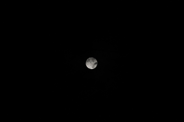 DSC_6417.JPG