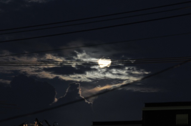 DSC_6458-1.JPG