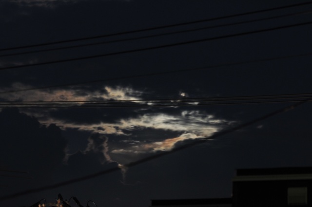 DSC_6458.JPG