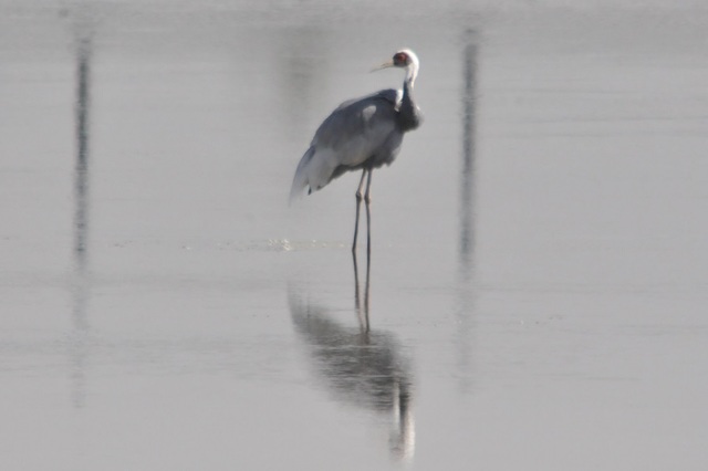 DSC_6510.JPG