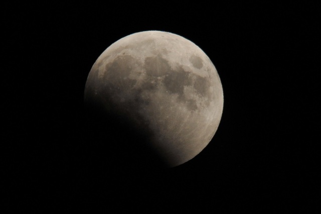DSC_6575.JPG