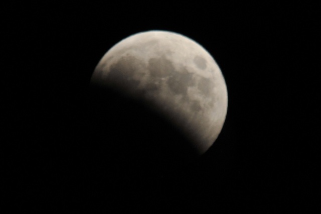 DSC_6576.JPG