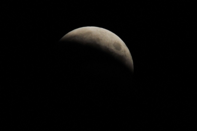 DSC_6578.JPG