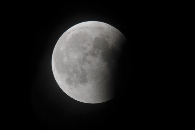 DSC_6628.JPG