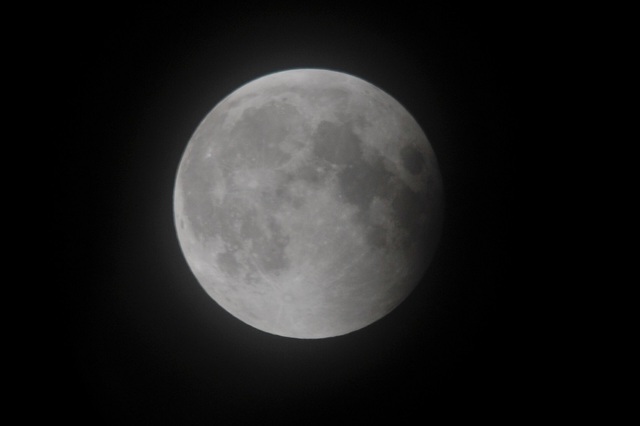 DSC_6630.JPG