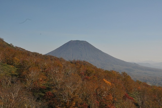 DSC_6788.JPG