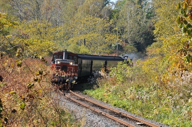 DSC_6825.JPG