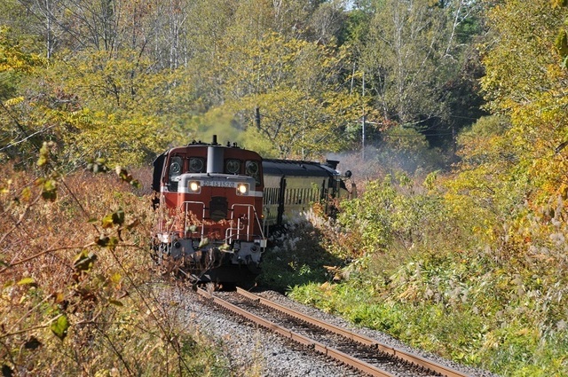 DSC_6826.JPG
