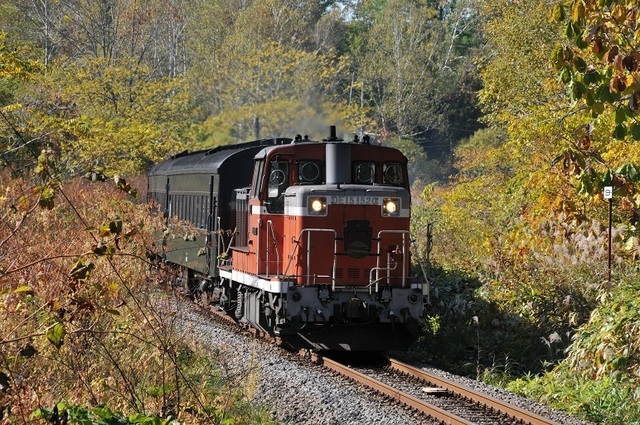 DSC_6828.JPG