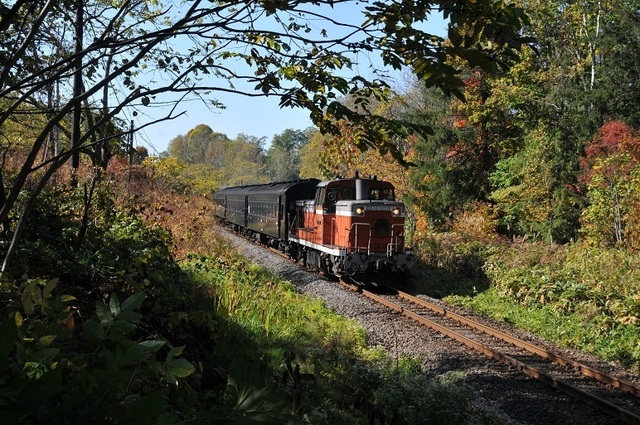 DSC_6833.JPG