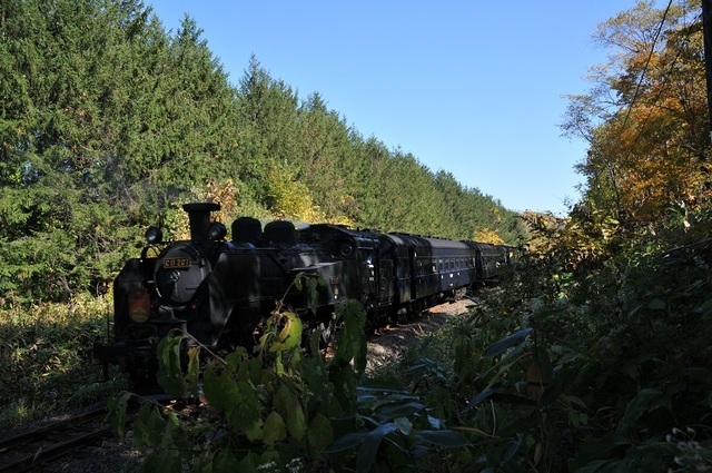 DSC_6846.JPG