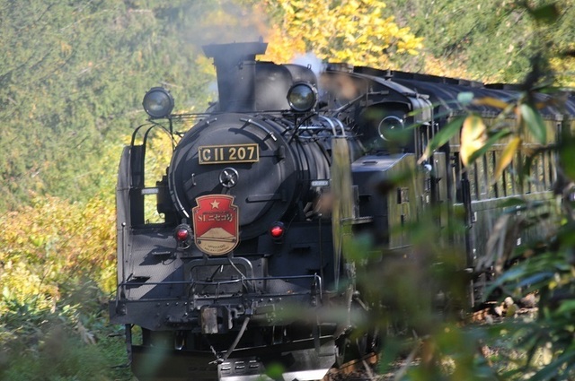 DSC_6850.JPG