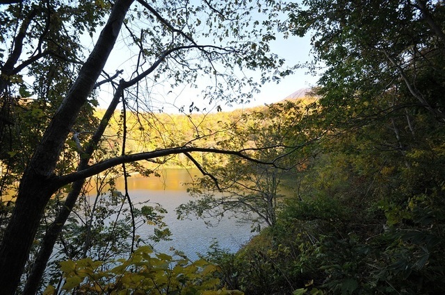 DSC_6868.JPG