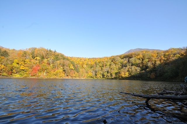 DSC_6869.JPG