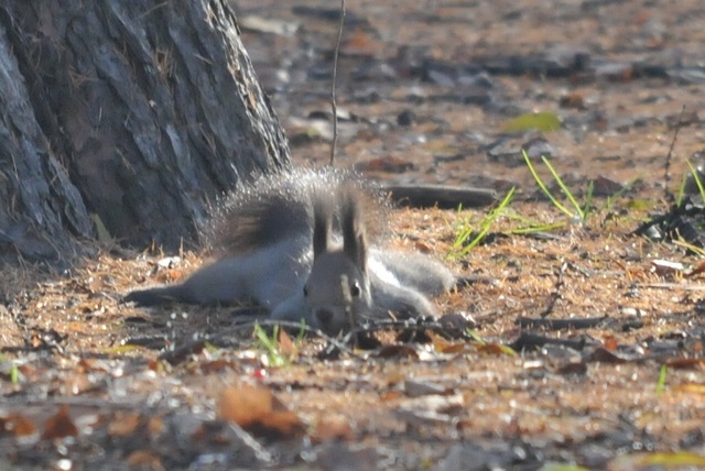 DSC_7120.JPG