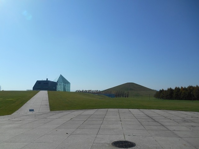 DSC_7981.JPG