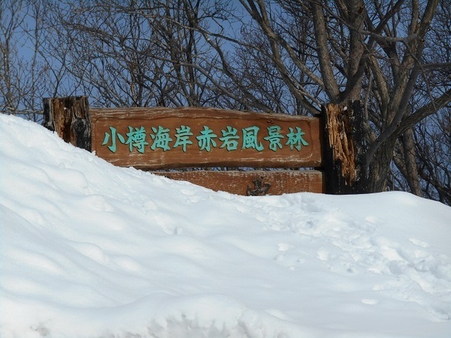 DSCN5785.JPG