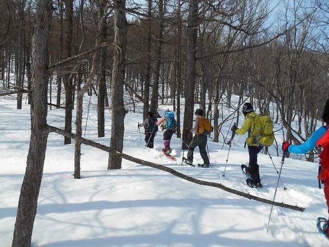 DSCN5786.JPG