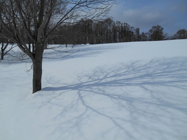 DSCN5792.JPG