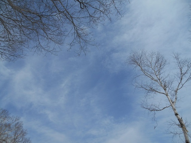 DSCN5907.JPG