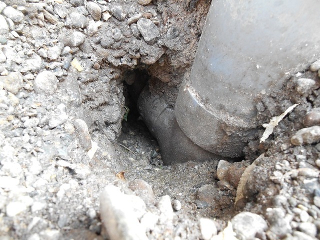 DSCN5946.JPG