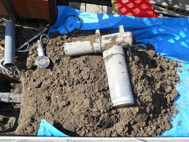 DSCN5956.JPG