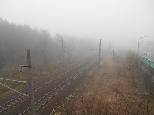 DSCN6111.JPG