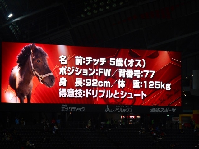 DSCN6152.JPG