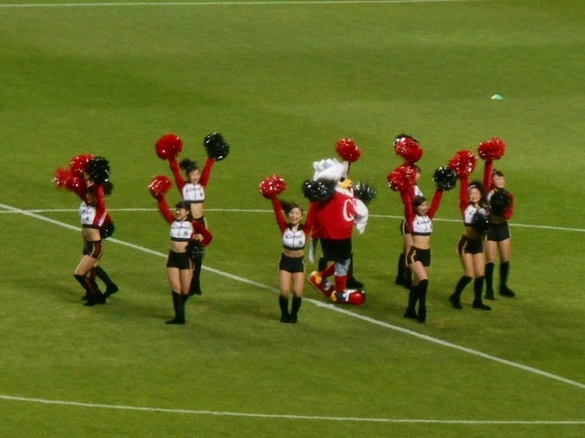 DSCN6161.JPG