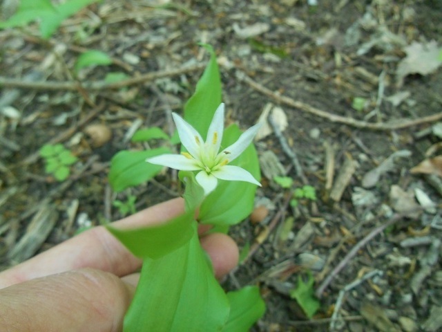 DSCN6577.JPG