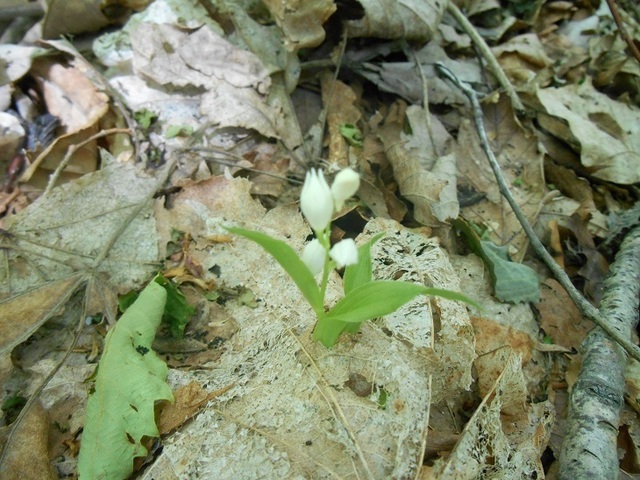 DSCN6578.JPG
