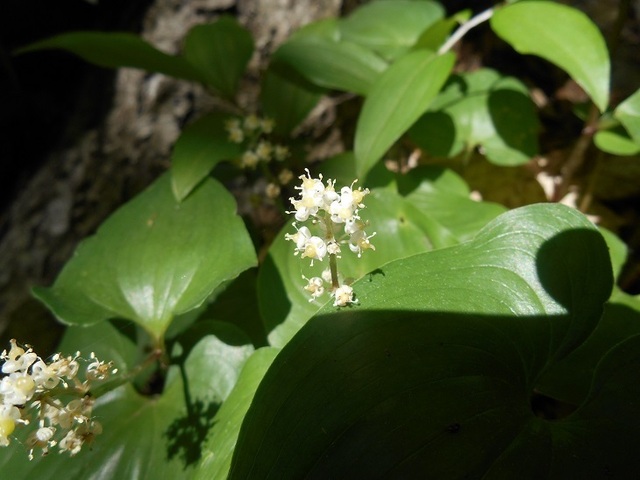 DSCN6580.JPG