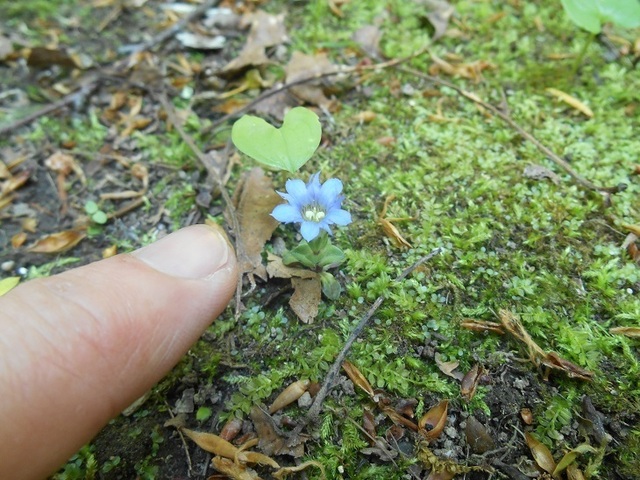 DSCN6585.JPG