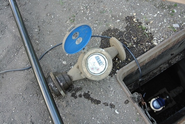 DSC_0219.JPG