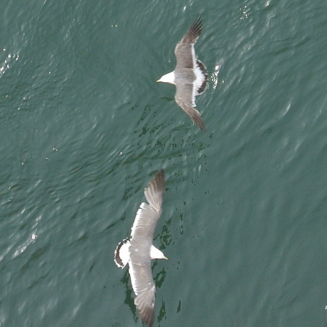 DSC_0401.JPG