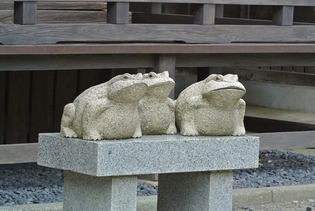 DSC_0411.JPG