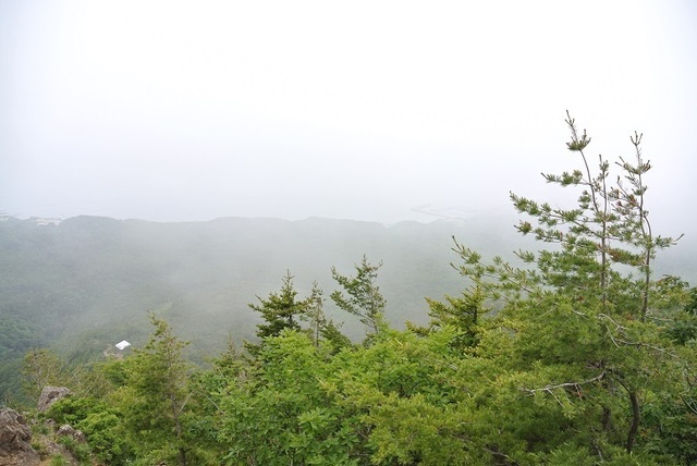 DSC_0663.JPG