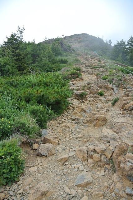 DSC_0665.JPG