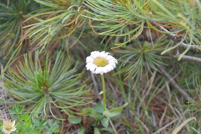 DSC_0686.JPG