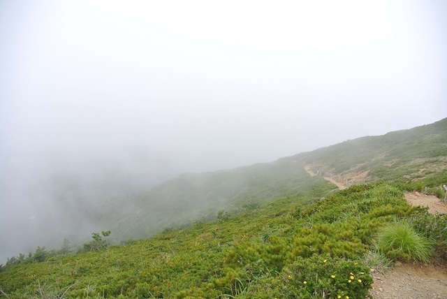 DSC_0687.JPG
