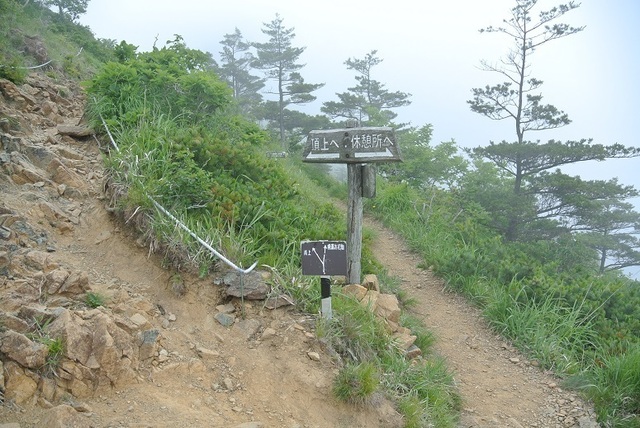 DSC_0714-1.JPG