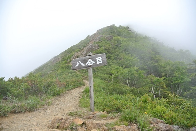 DSC_0723.JPG