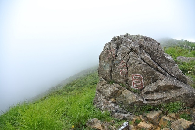 DSC_0738.JPG