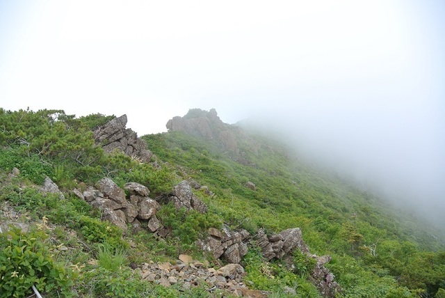 DSC_0754.JPG