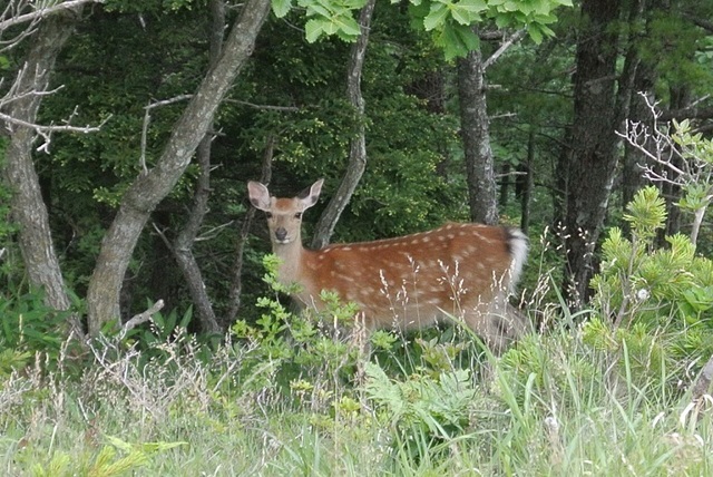 DSC_0757.JPG