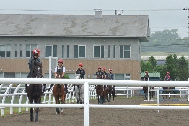 DSC_0819.JPG